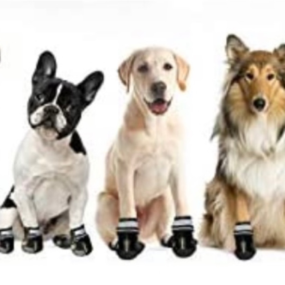 Silver Paw